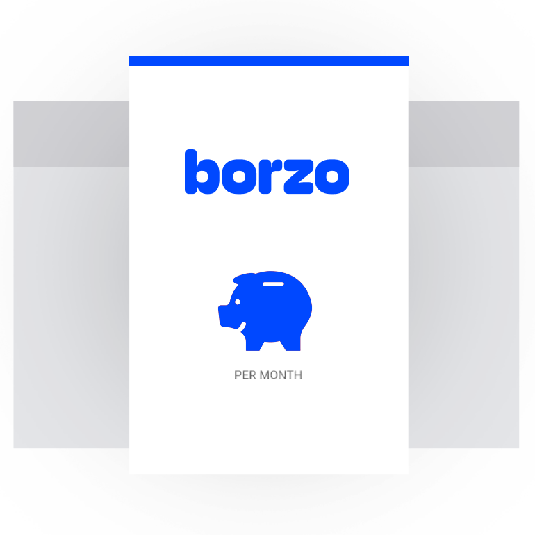 Prosperna Marketing Site|Borzo