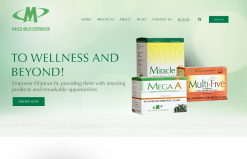 a wellness shop homepage showing boxes of soap and vitamin supplements