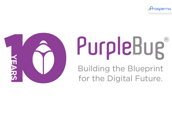 Purplebug slogan