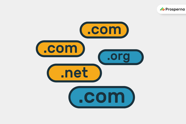 Prosperna Marketing Site | What is a Domain Names?