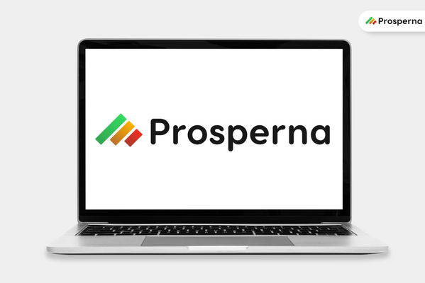 Prosperna Marketing Site | Effective Techniques to Maximize Profits When Selling Digital Products Online
